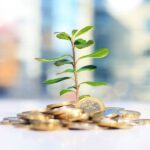 como ganhar dinheiro com investimentos